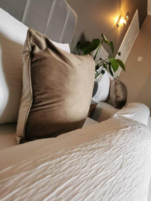 Ardena Property interior and exterior